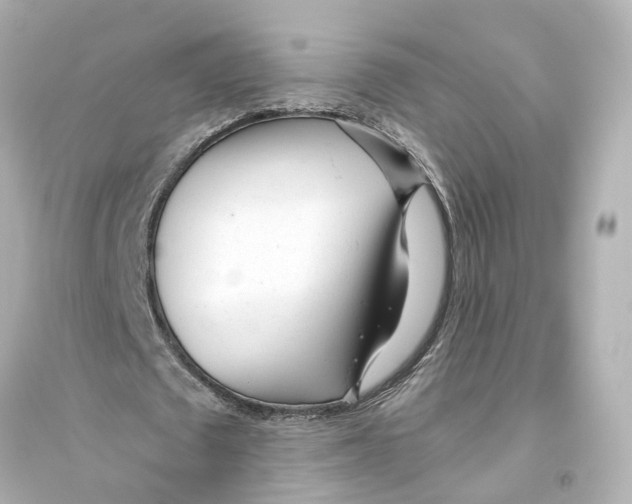 X0000093770673200711131212