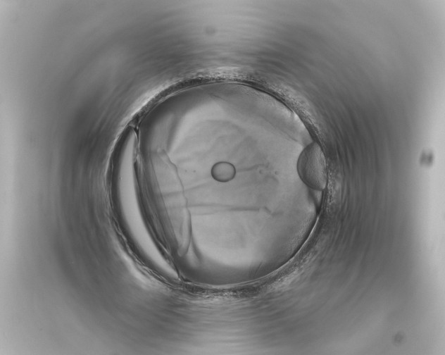 X0000093770674200711131212