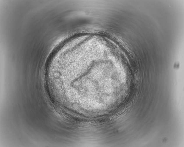 X0000093770679200711131212