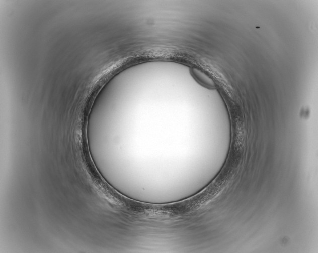 X0000093770681200711131212