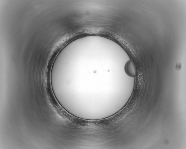 X0000093770682200711131212