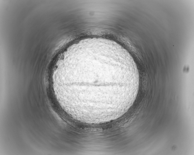 X0000093770683200711131212