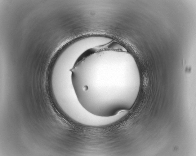 X0000093770684200711131212