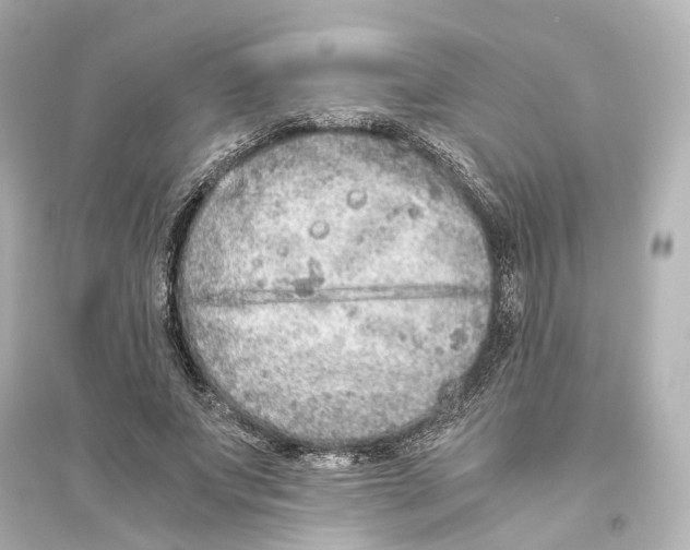 X0000093770687200711131212