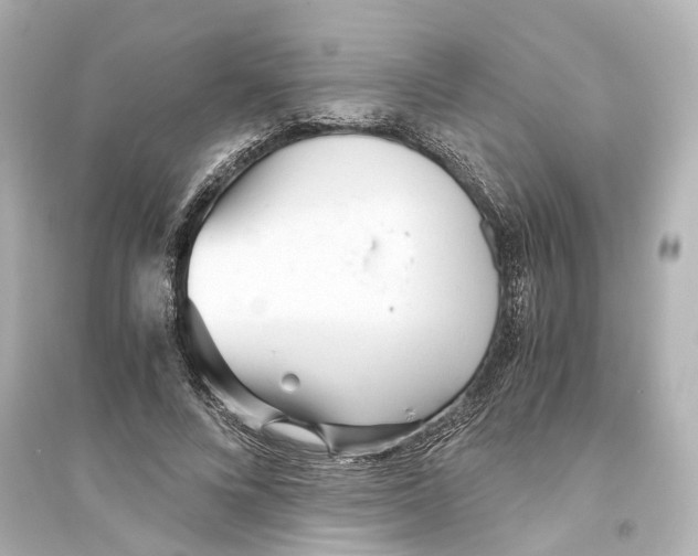 X0000093770688200711131212