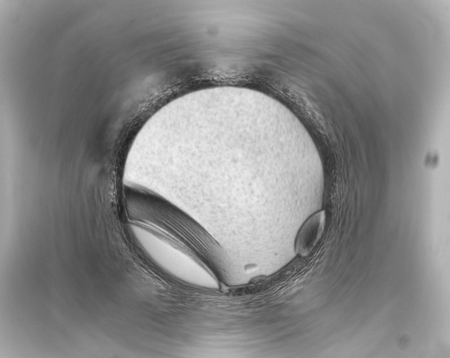 X0000093770689200711131212