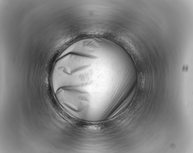 X0000093770692200711131212