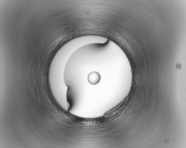 X0000093770693200711131212