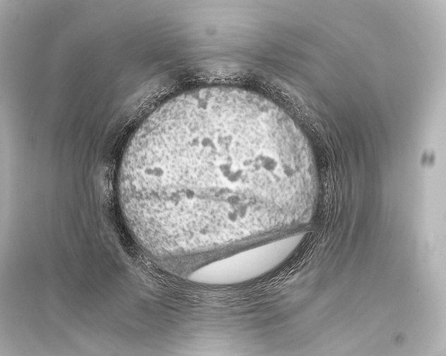 X0000093770695200711131212