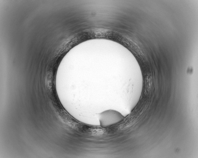 X0000093770698200711131212