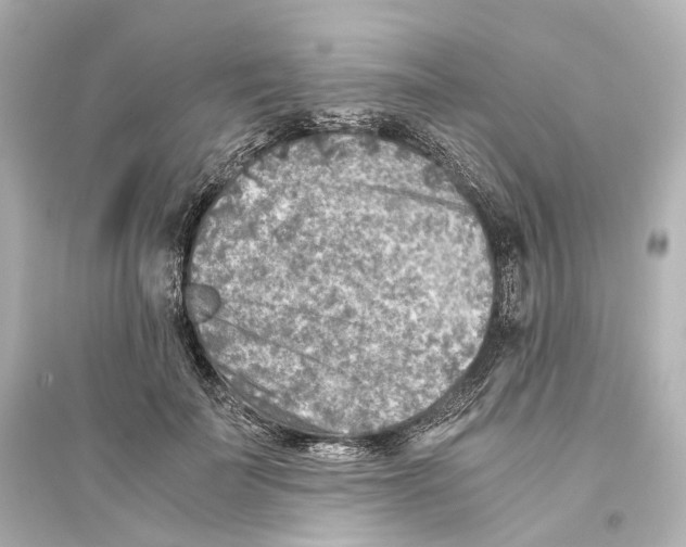 X0000093770699200711131212