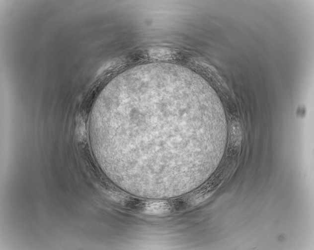 X0000093770705200711131212