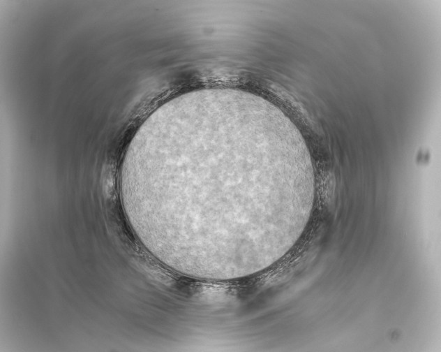 X0000093770709200711131212