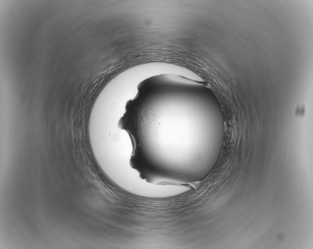 X0000093770711200711131212