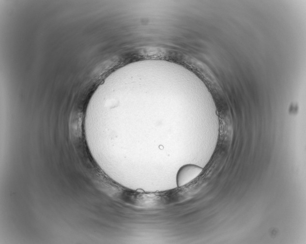 X0000093770717200711131212