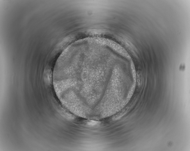 X0000093770718200711131212