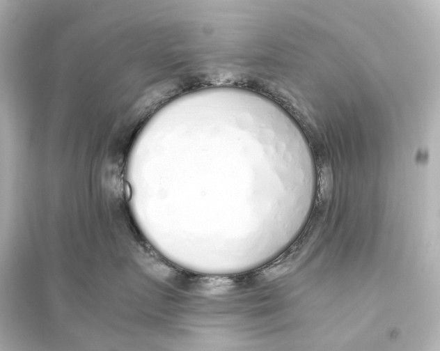 X0000093770719200711131212