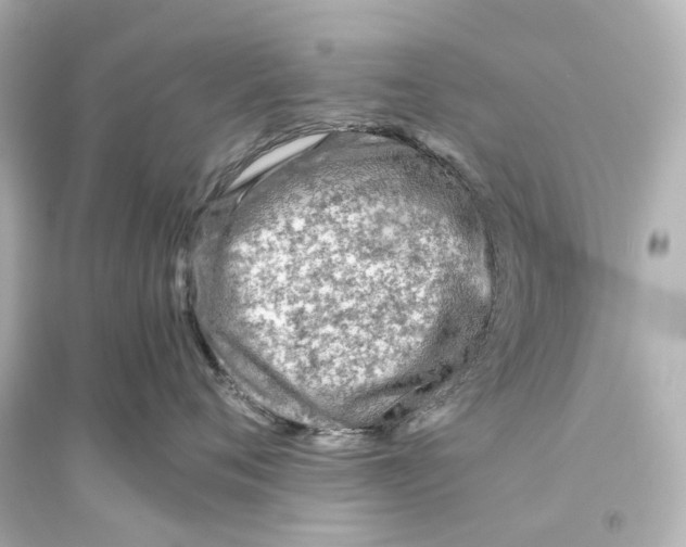 X0000093770720200711131211