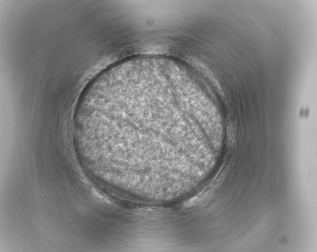 X0000093770721200711131211