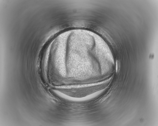 X0000093770723200711131211