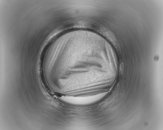 X0000093770724200711131211