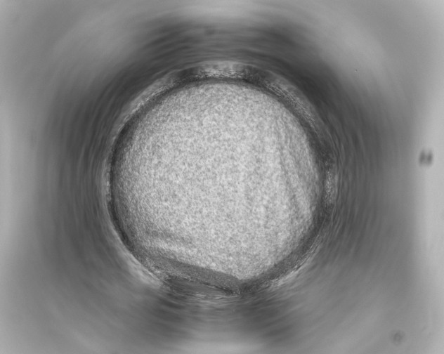 X0000093770725200711131211