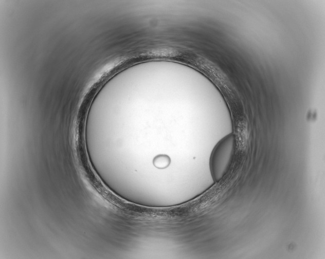 X0000093770726200711131211