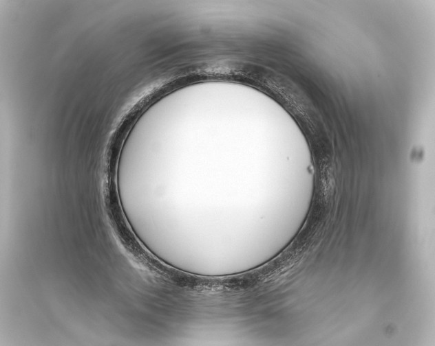 X0000093770728200711131211