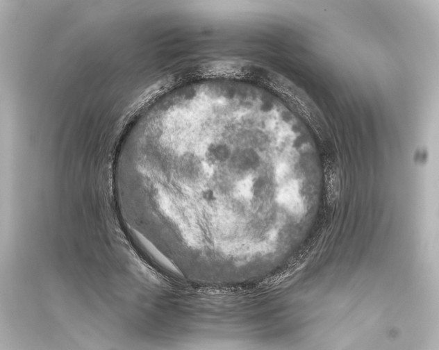 X0000093770729200711131211