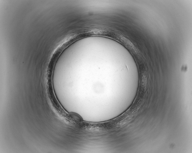 X0000093770730200711131211