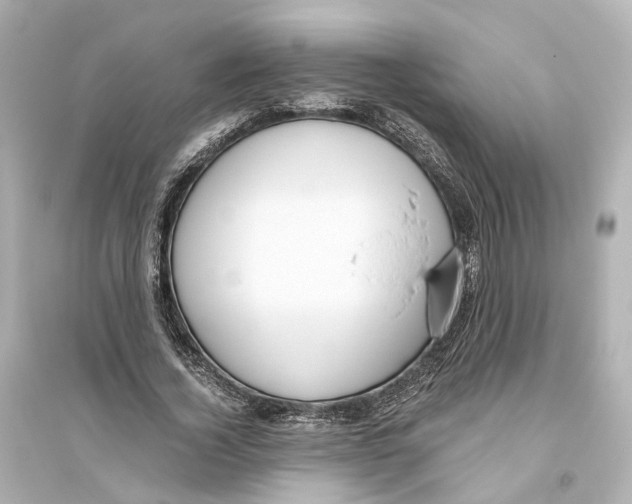 X0000093770732200711131211