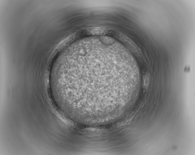 X0000093770733200711131211