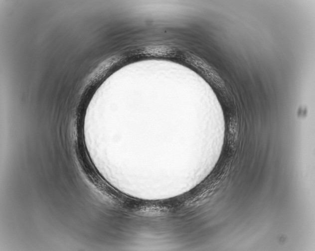 X0000093770734200711131211