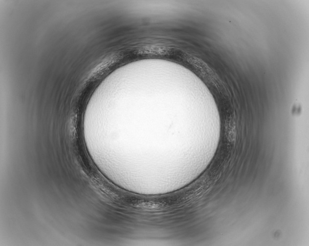 X0000093770735200711131211