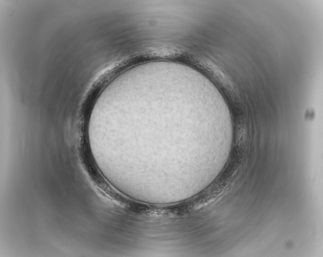 X0000093770736200711131211