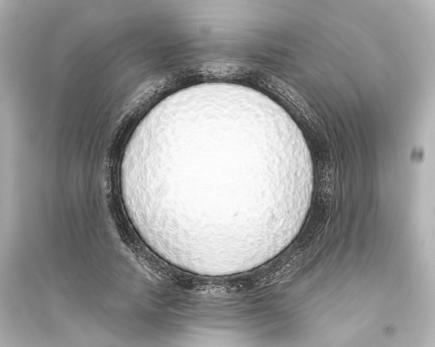 X0000093770738200711131211