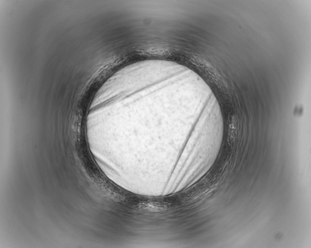 X0000093770739200711131211