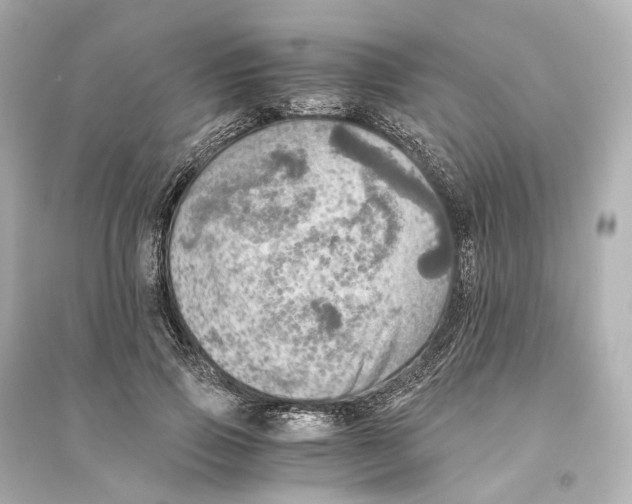 X0000093770741200711131211