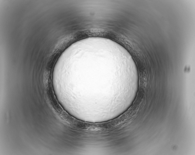 X0000093770742200711131211