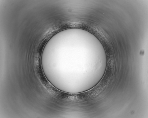 X0000093770744200711131211