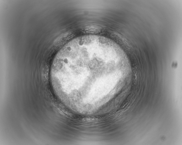 X0000093770745200711131211