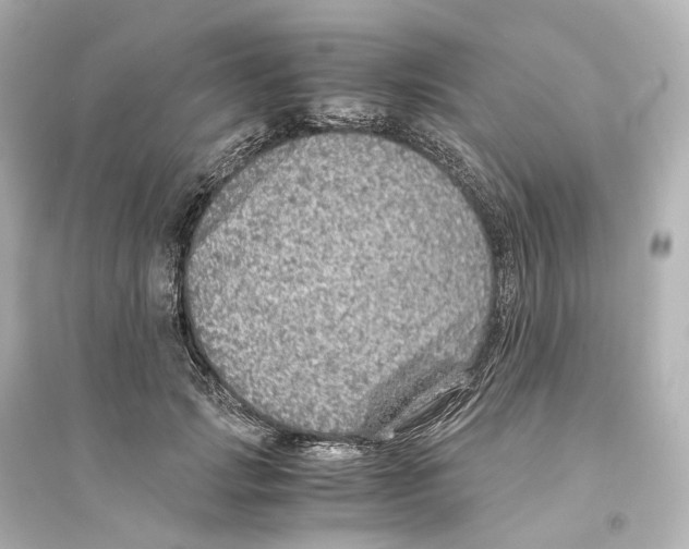 X0000093770749200711131211