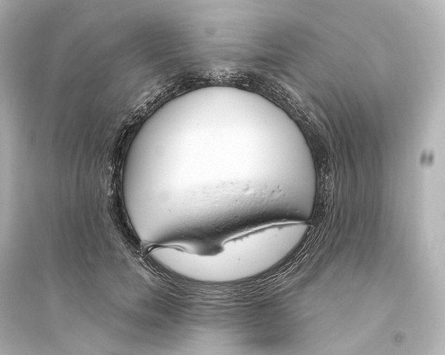 X0000093770750200711131211