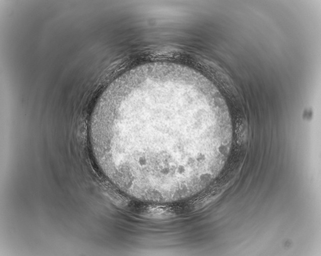 X0000093770753200711131211