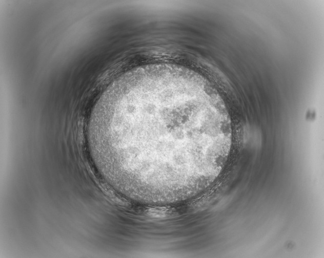 X0000093770757200711131211