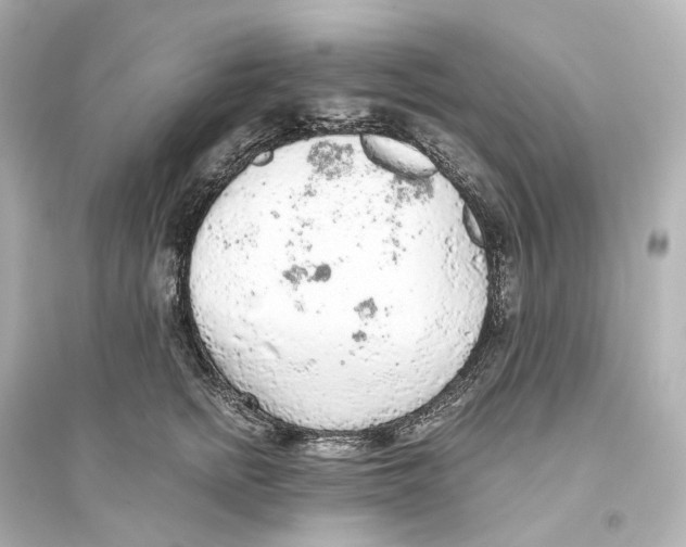 X0000093770758200711131211