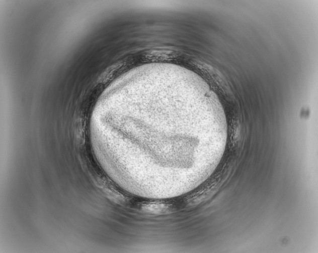 X0000093770759200711131211