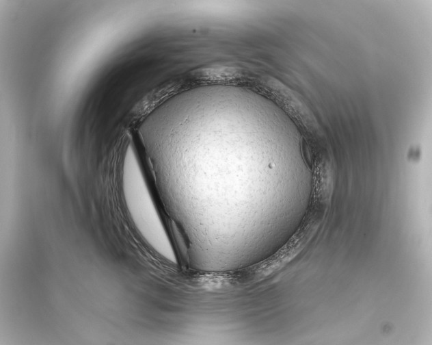 X0000093770762200711131211