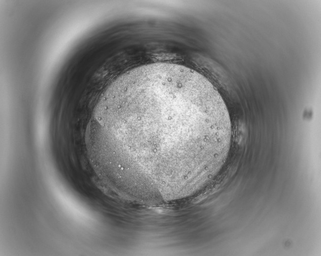 X0000093770763200711131211