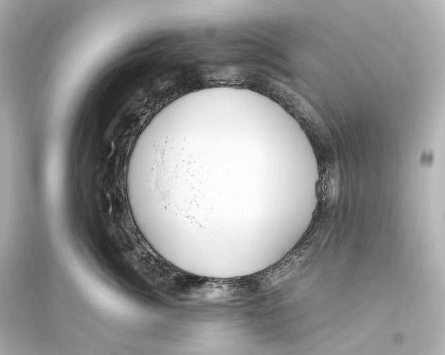 X0000093770764200711131211